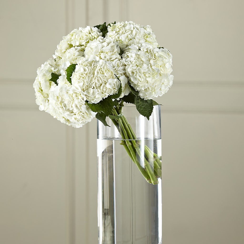 White Hydrangea Hand-Tied Bouquet – CONNY'S FLOWER SHOP INC, Ashland MA