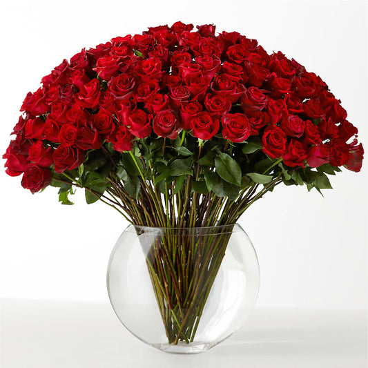 The Idealist – CONNY'S FLOWER SHOP INC, Ashland MA