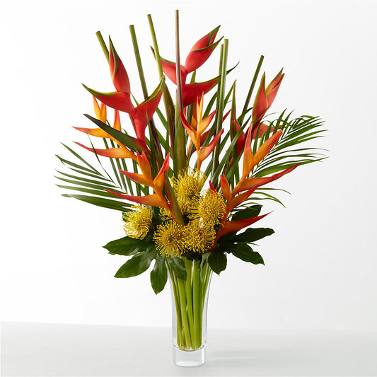 The Drama – CONNY'S FLOWER SHOP INC, Ashland MA